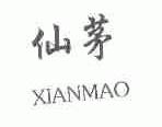 仙茅