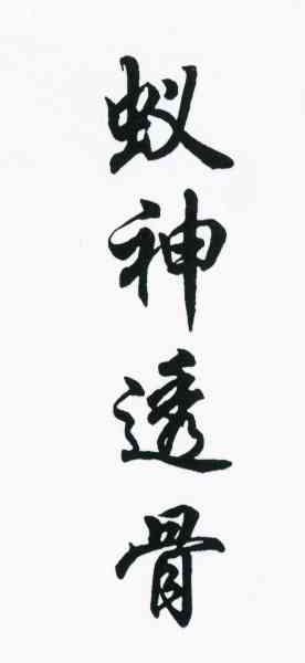 蚁神透骨