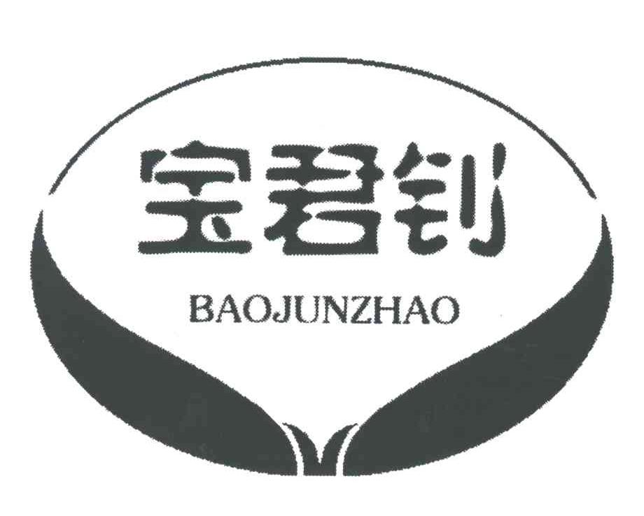 宝君钊