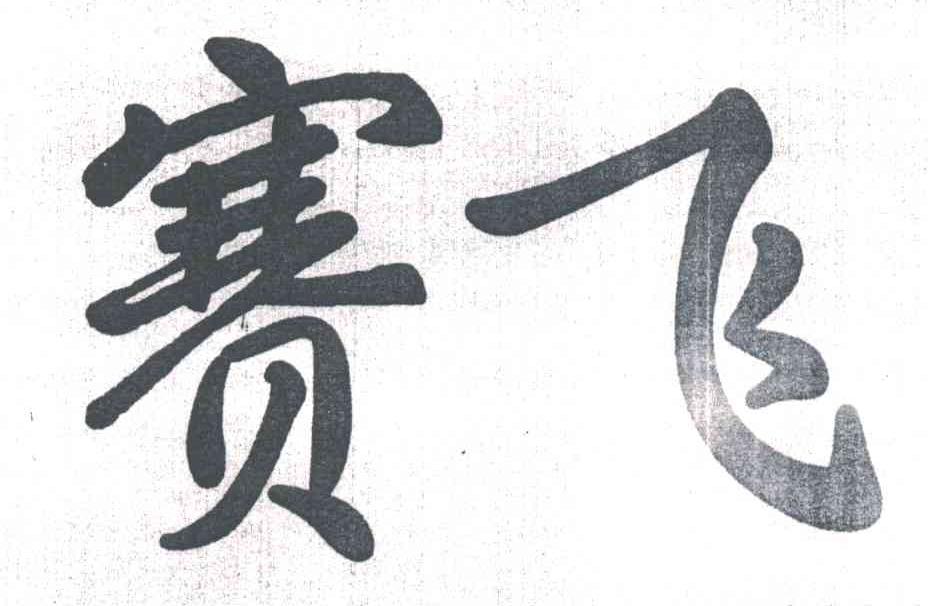 赛飞