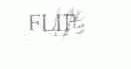 FLIP