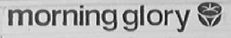 MORNING GLORY