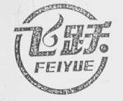 飞跃