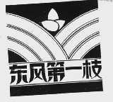东风第一枝