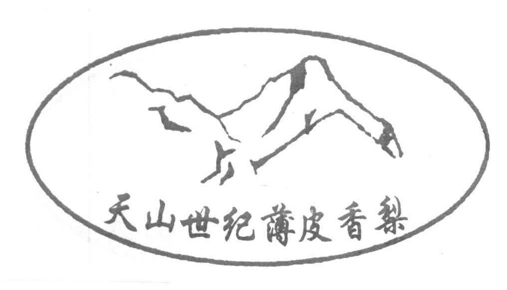 天山世纪薄皮香梨
