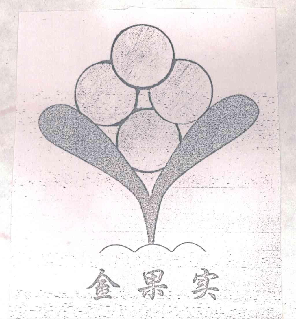 金果实