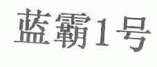 蓝霸1号