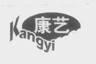 康艺