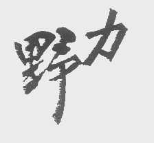 野力