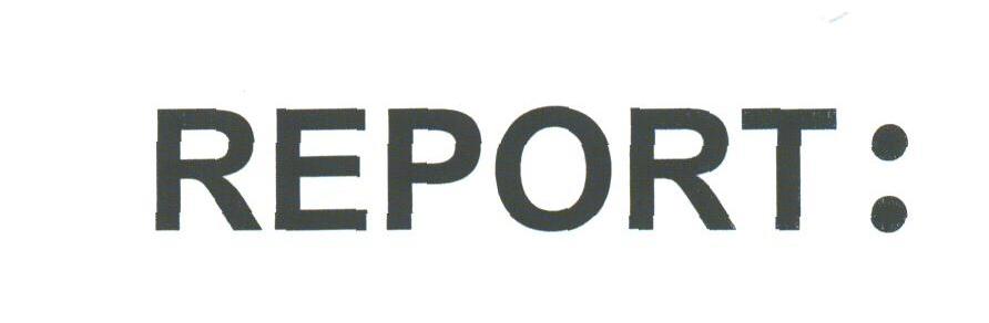 REPORT