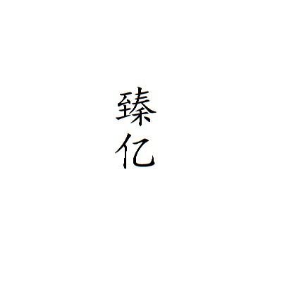 臻亿