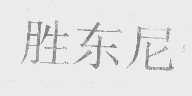 胜东尼