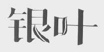 银叶
