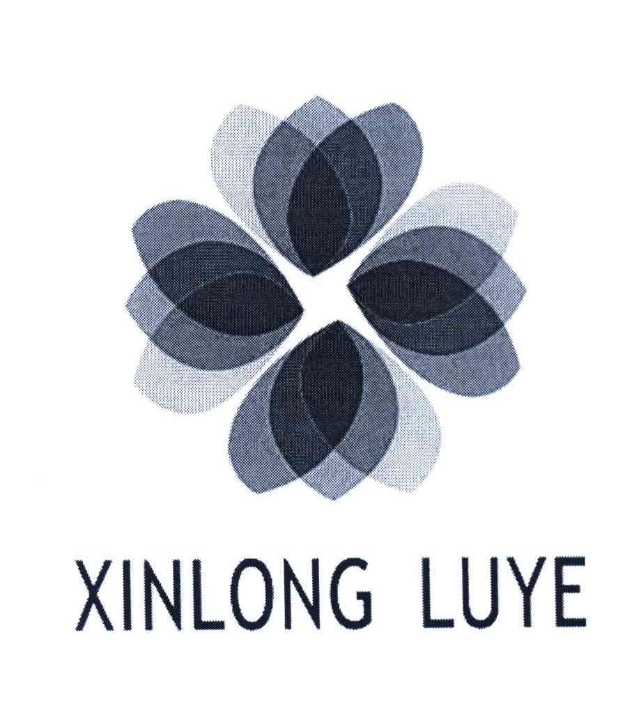 XINLONG LUYE