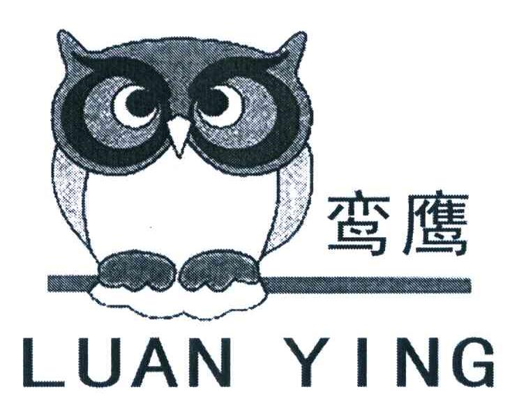 鸾鹰