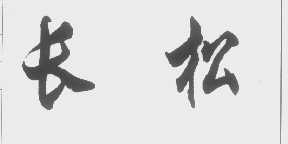 长松