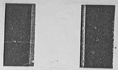 WINSTON LABEL DESIGN