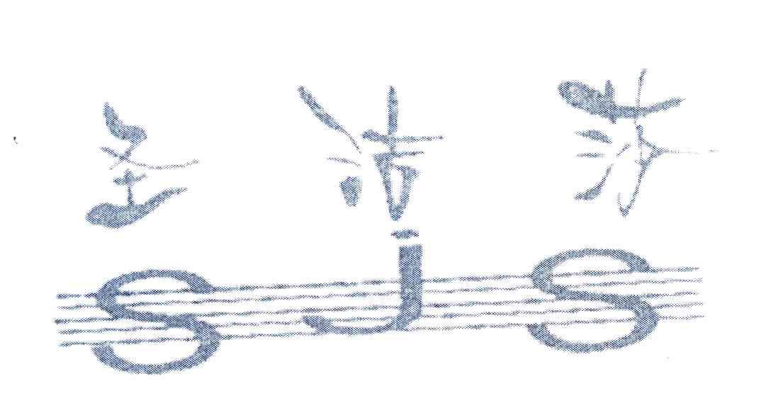 圣洁莎 SJS