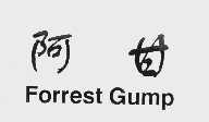 阿甘  FORREST GUMP