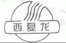 西夏龙