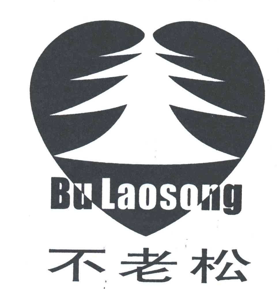 不老松及图