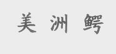美洲鳄