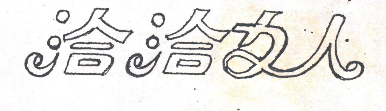 洽洽女人