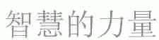 智慧的力量