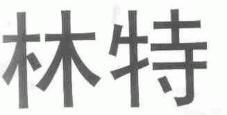 林特