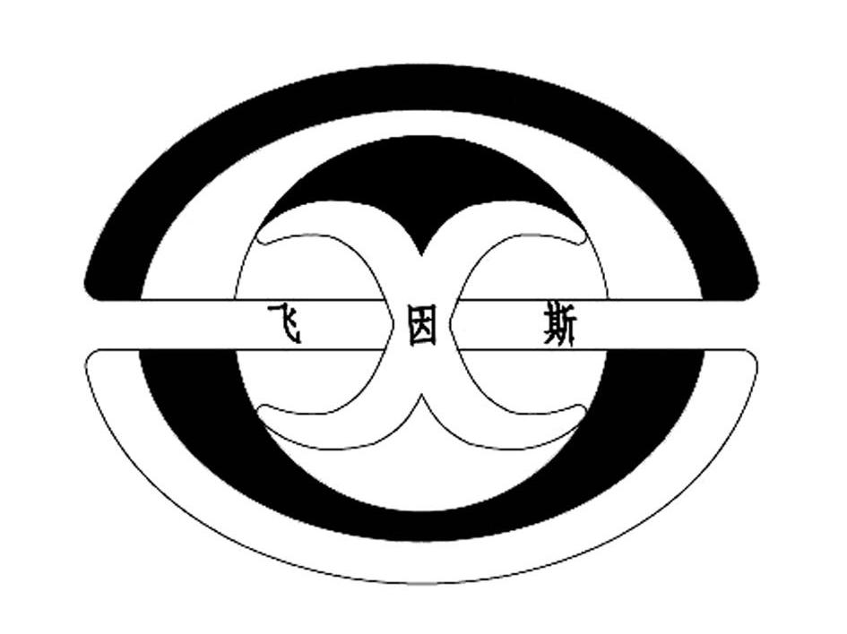飞因斯