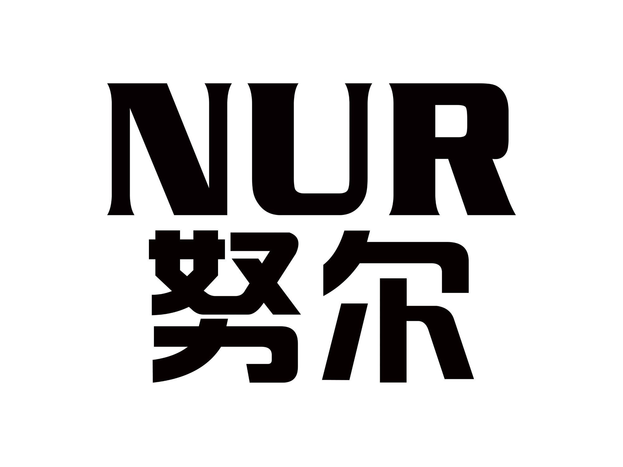 努尔 NUR