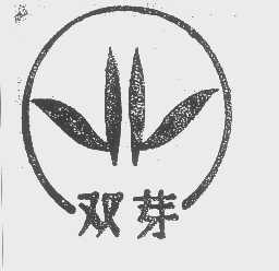 双芽
