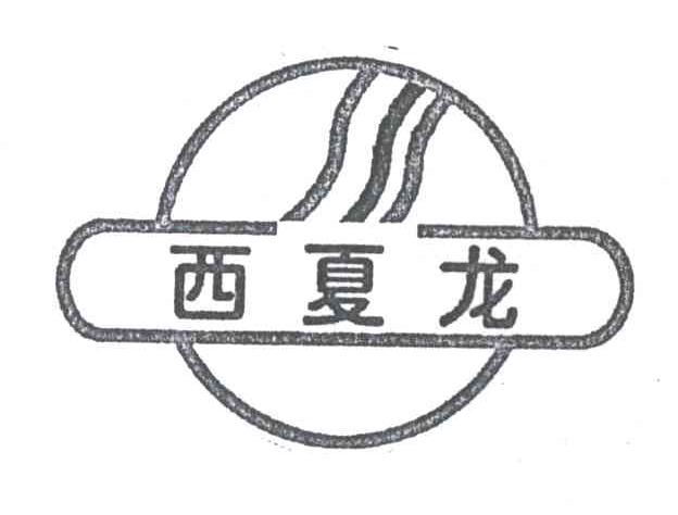 西夏龙