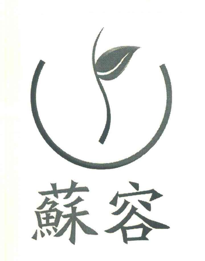 苏容