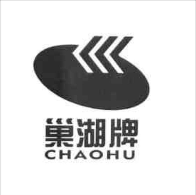 巢湖牌