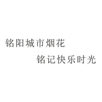 铭阳城市烟花 铭记快乐时光