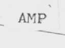 AMP