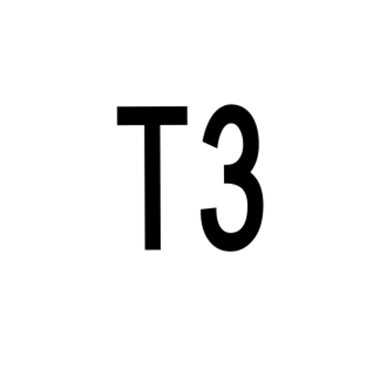 T3