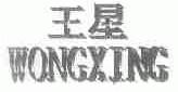 王星;WONGXING