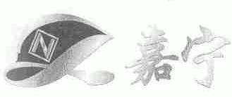嘉宁