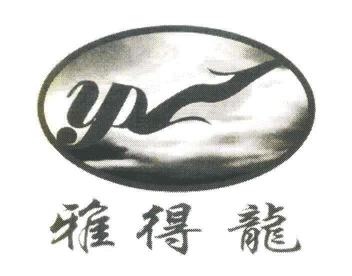 雅得龙 Y