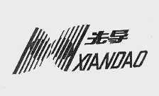 先导