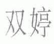 双婷