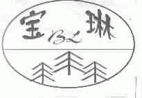 宝琳