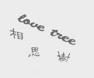 相思树   LOVE TREE