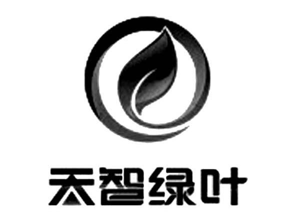 天智绿叶