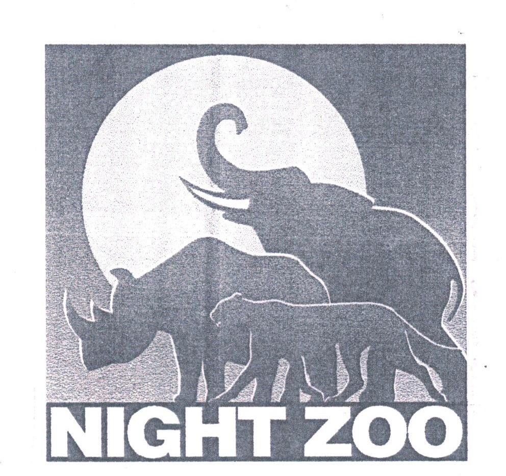 NIGHT ZOO
