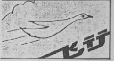 飞行