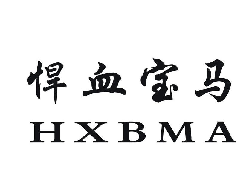 悍血宝马 HXBMA
