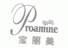 宝丽美;PROAMINE